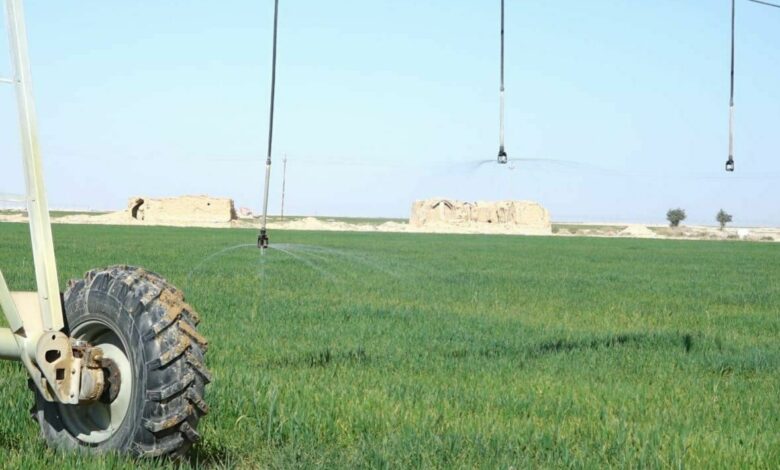 IMG 20220108 104232 234