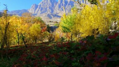 IMG 20220110 125218 296 1