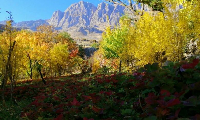 IMG 20220110 125218 296 1