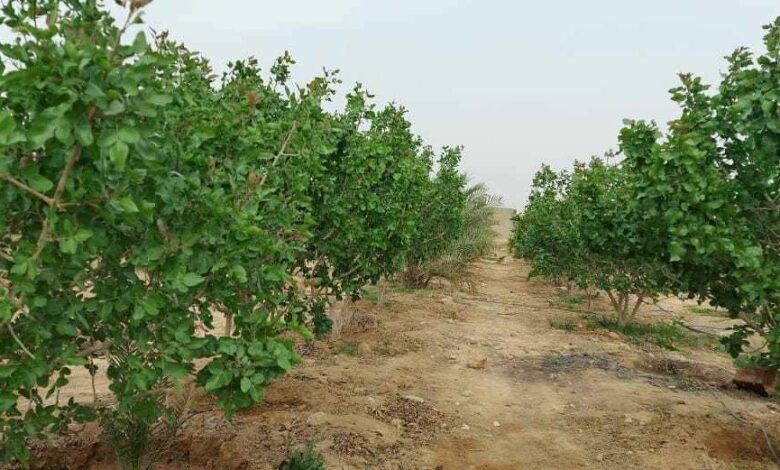 IMG 20220110 154304 394