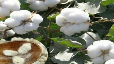 IMG 20220112 141123 101