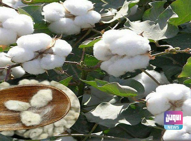 IMG 20220112 141123 101