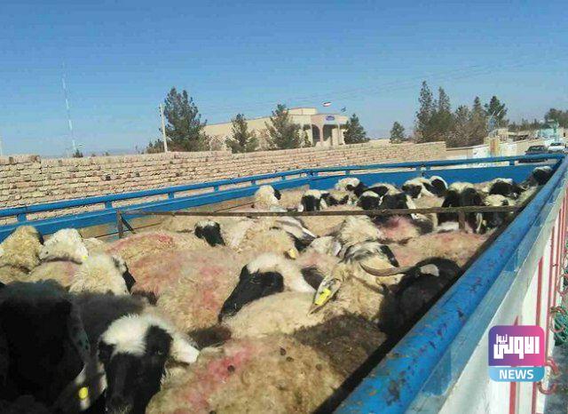 IMG 20220117 130523 709