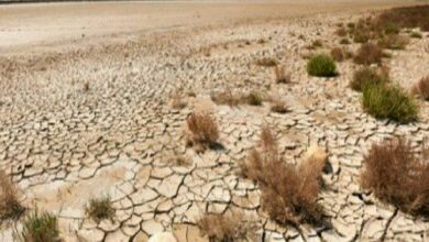 IMG 20220117 130935 582