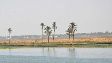 IMG 20220119 193249 143