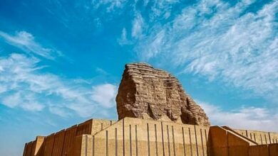 IMG 20220121 124148 689