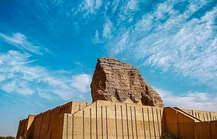 IMG 20220121 124148 689