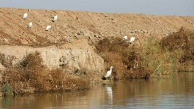 IMG 20220125 153053 513