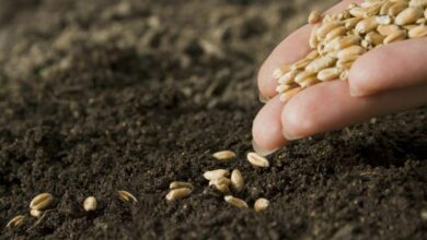 IMG 20220126 131037 707