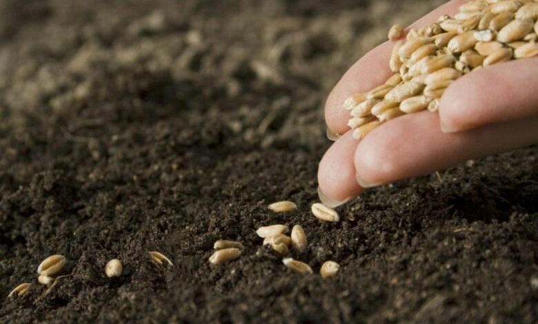 IMG 20220126 131037 707