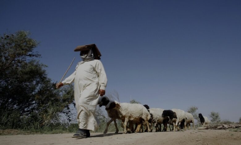 Screenshot ٢٠٢٢٠١١١ ٢١٤٨٤٥ Samsung Internet