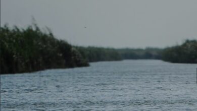 الموارد تعلن تأمين مياه الشرب والسقي بنسبة 100 في المئة 4 Screenshot ٢٠٢٢٠١٢٤ ١٦٠٦٤٨ Samsung Internet