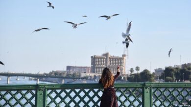 0F61C629 CE49 4890 9789 353FCC8634CB