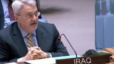 10D505CF C530 43C8 8C72 10941AEB6694