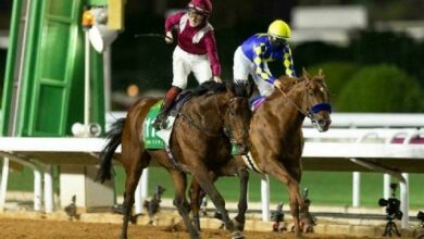 4 معلومات عن كأس السعودية العالمي للخيول 4 138 135736 the saudi cup details 700x400