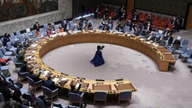 20D31E8A D462 4A66 8CD2 F224FDCD23D4