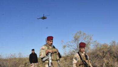 2623B875 C49E 4B71 963A E83371DD17CD