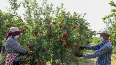 2675B451 17A9 4282 B783 53C9D4175487