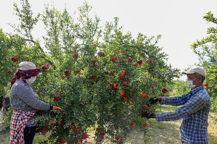 2675B451 17A9 4282 B783 53C9D4175487