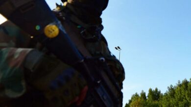 31D3ACD5 0AD5 4223 BFDC B9DE6722D4AA