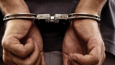 36EB16F6 911E 4341 96C7 EE0D845665BE