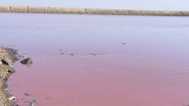 37B19DFC 9823 4FCF 8911 2BDBB22C15C1