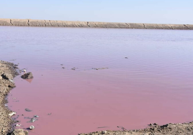 37B19DFC 9823 4FCF 8911 2BDBB22C15C1