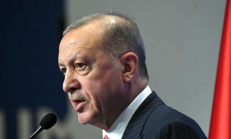 أردوغان يكشف عن الهدف المشترك مع الإمارات 1 43F065DA 8DDC 4D07 AA45 BBD3238AFEF5