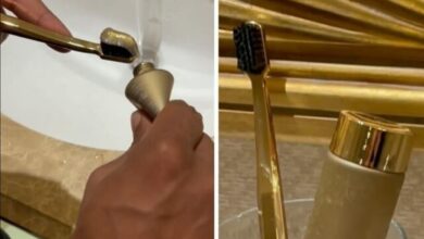 4A5F3FE0 2707 4188 B1BF 42E4DF1F065B