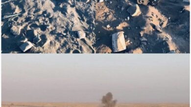 4C2C96BB BEA4 4632 9261 EC5E39B66094