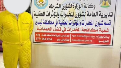 4CF17C3F 22F7 454B 99C6 C79E60FD7658