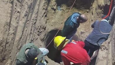 50D53EDD FD06 4D63 9573 E132668F1BFB