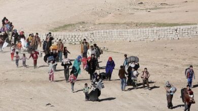 567B560F CE43 4A66 A0B6 C705F23FE450