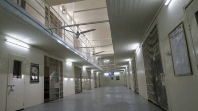 وزارة العدل: الإفراج عن (503) نزلاء خلال الشهر الماضي 5 5C5EB52D 40C9 41C3 80E3 6AB23CCB898A