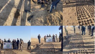 61FEA9B6 F698 44DF 9AD4 118AC1D98C26