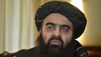 61fb81734236041f191b8e4c