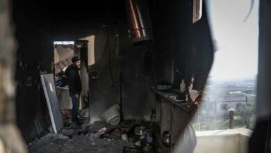 61fbd9e942360453577a309e