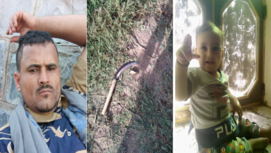 61fca56342360457926244a8