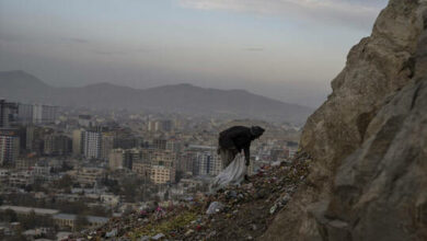 61fcbc3d4236045853426c6d