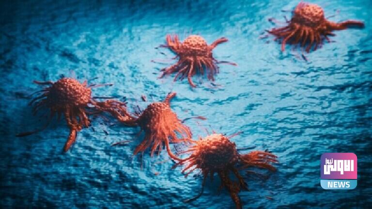 61fcca814236043519225ab2