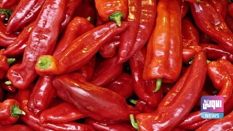 61fce01f4236047227131ed4