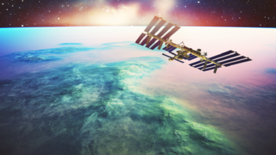 61fcedf4423604799943c341