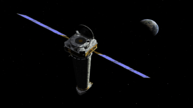 61fcff004236043519225b26