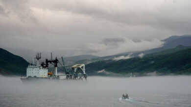 61fe1cdb423604090a644c36