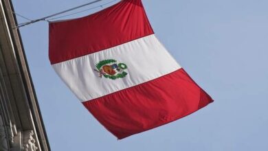 61fe24ee4c59b75216481ca4