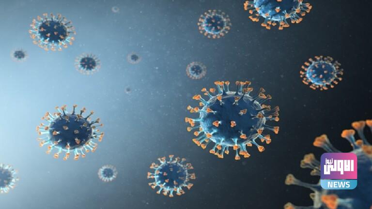 61fe3d1f4236045c0f6bc444