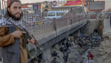 كابل: مدمنون يقتلون رجلا ويأكلون أحشائه بسبب الجوع (صور) 2 61fe44fc42360404607e1318