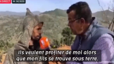 61ffa534423604541377a216