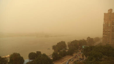 61ffa80b4c59b7384c283cce