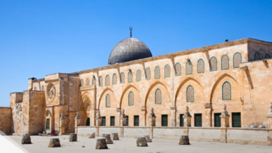 61ffd38642360450f423f668